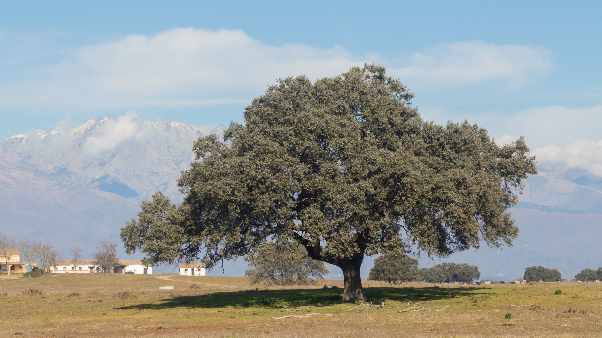 Audiovisuales en finca
